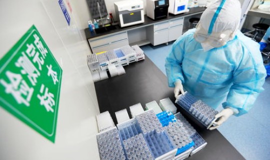 石家庄核酸检测室(核酸检测多久出结果)