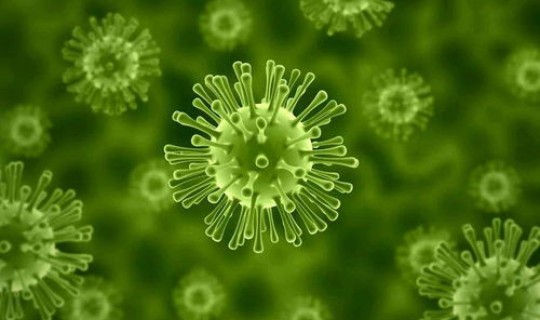 疫情现在多少人感染了病毒 现在有没有新冠病毒感染者