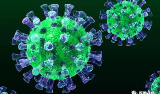 金山区新型冠状病毒最新消息?新型冠状病毒传播途径 金山区新型冠状病毒最新消息?新型冠状病毒传播途径