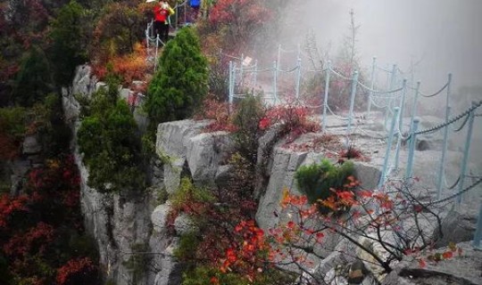 疫情摄影大赛作品介绍(手机摄影大赛获奖作品)