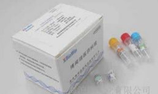 西安核酸检几小时出(核酸检测试剂盒) 西安核酸检几小时出(核酸检测试剂盒)