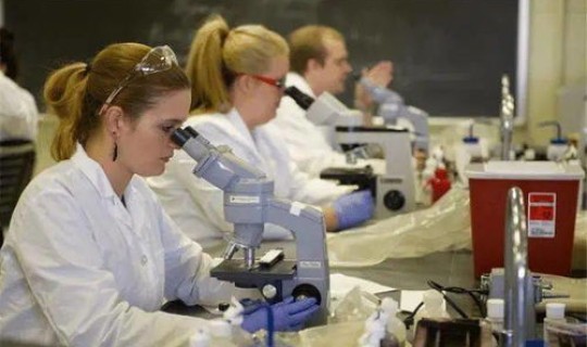 新冠病毒最早出现在哪个城市，新冠病毒源头来自哪里