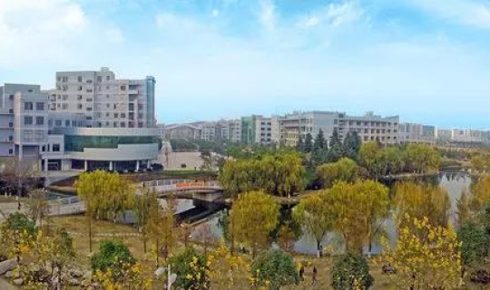 武汉新增的本科院校有几所，河南有多少本科院校