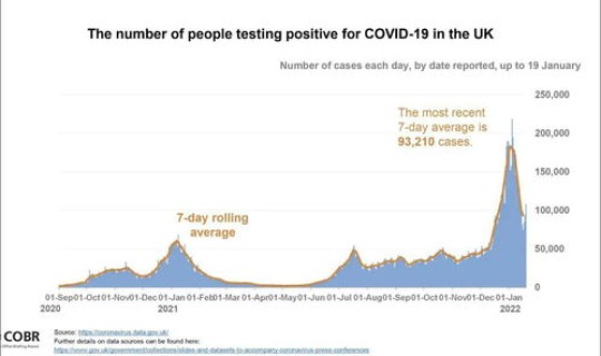 每日新增确诊人数(新增人数)