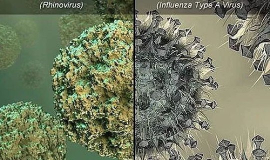 陕西新型病毒?新型病毒有哪些 陕西新型病毒?新型病毒有哪些
