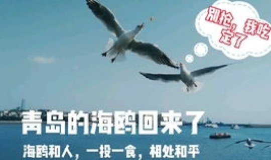 2021年核酸检测免费还是自费 核酸检测多久出结果