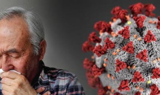 上海新增无症状患者有多少(上海现在有新冠病毒患者吗)