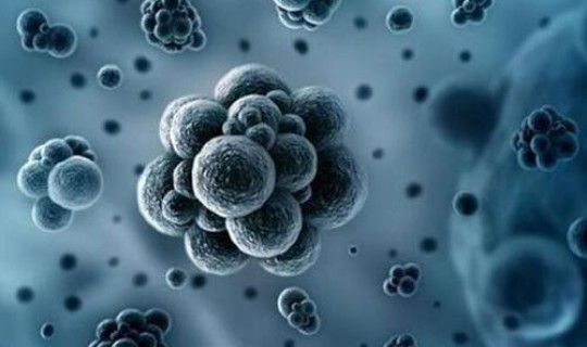 北京朝阳区发现新型冠状病毒了吗，上海新型冠状病毒