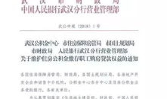 武汉不能进出最新消息(进入武汉最新规定)