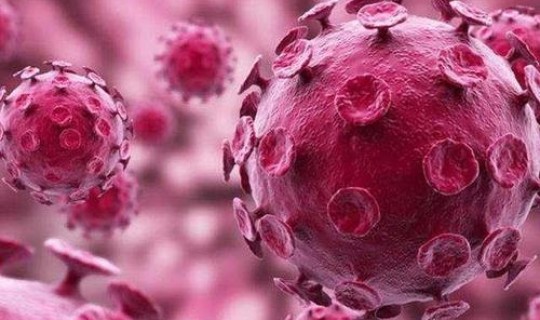 明年病毒还会回来吗 病毒会一直存在吗