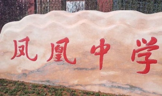 莱西市中考？莱西市中考走艺术什么