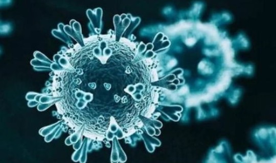 新冠病毒现在在哪个城市，现在新冠病毒还存在吗