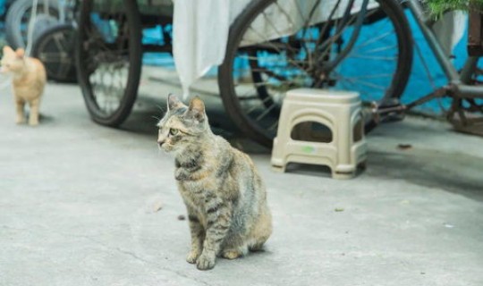 成都感染者定点医院？成都感染科哪个医院好