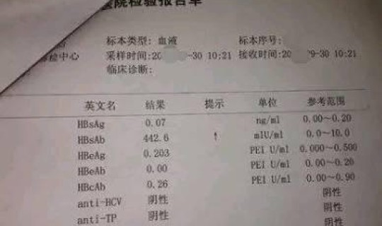 内蒙古自治区核酸检测机构报告单，hpv核酸检测报告单