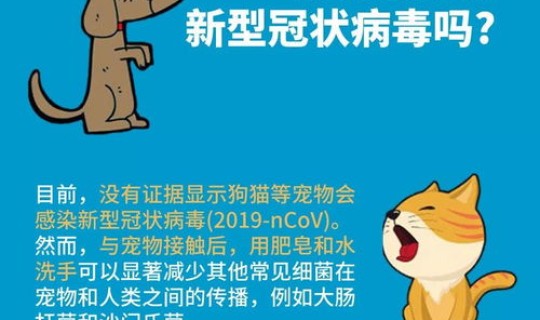 北京病毒疫情(北京现在有什么病毒感染)