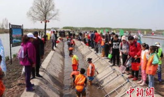 黑龙江省铁力市属于哪个地区 黑龙江省铁力市双丰镇