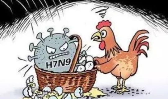 疫情的高发期？流行病高发期是什么季节