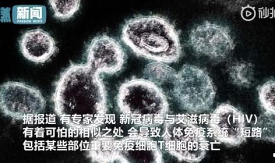 现在是不是有新病毒，最近的新病毒叫什么