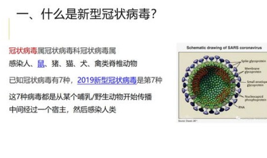 新型冠状病毒二级防护措施有哪些(冠状病毒潜伏期)