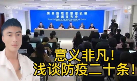 防疫二十条(国二十条)