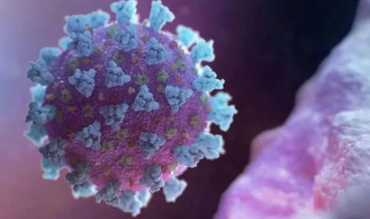 山东首次发现变异病毒?山东这次病毒叫什么 山东首次发现变异病毒?山东这次病毒叫什么