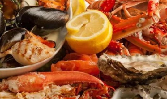 大连海鲜产品核酸检测 大连产什么海鲜