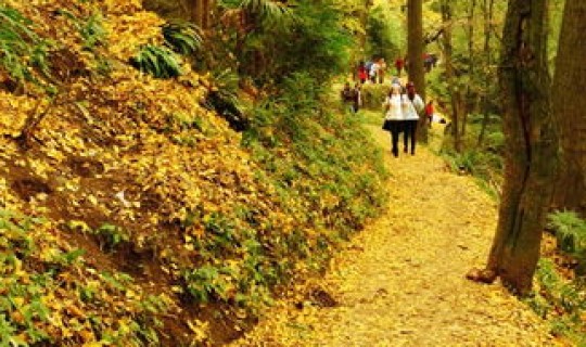 葛仙山一日游攻略？葛仙山不能乱去的原因