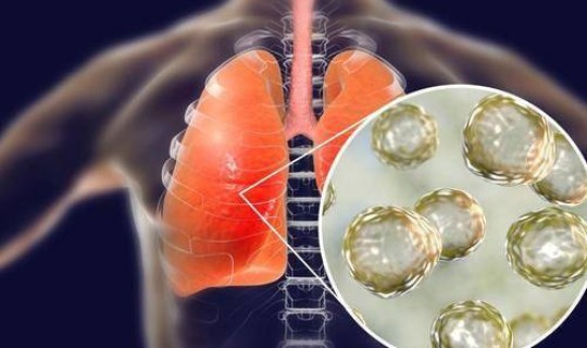 韩国感染新型冠状病毒人数有多少 冠状病毒第几天最严重