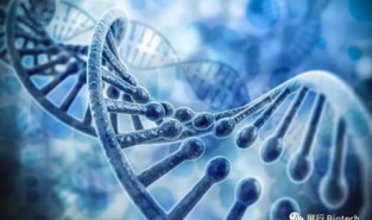 病毒突变是好是坏，肺癌基因没有突变是好是坏