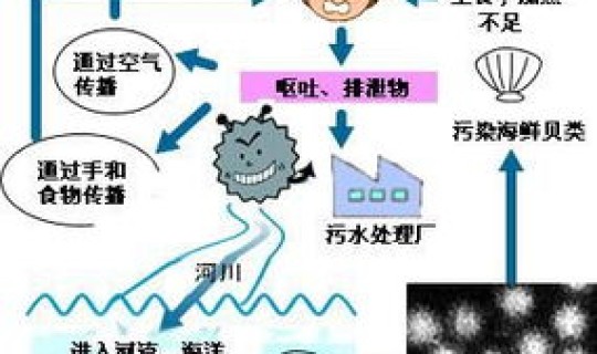 永川病毒最新消息 最新的病毒