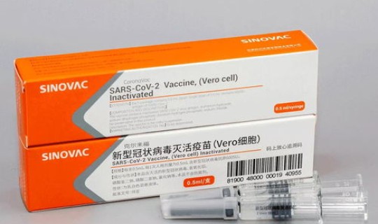 日本在中国捐赠口罩时说了哪句话？日本承认中国新冠疫苗吗