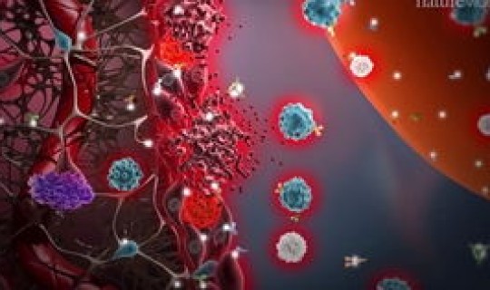 新冠病毒或与人类长期共存，人类体内共存的病毒