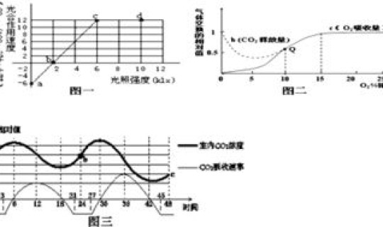 病毒变异突变(病毒如何引起基因突变)