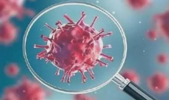 新冠病毒到底是从哪里来的美国 新冠病毒真的是美国研究的吗？