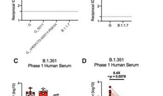 现在病毒变异的致死率高吗 ，病毒变异的原因