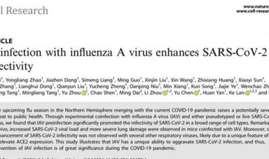 福建新冠病毒确诊病例 冠形病毒