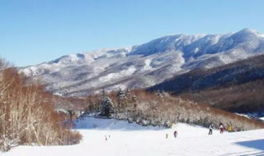 长野冬季奥运会 长野冬奥会在哪里