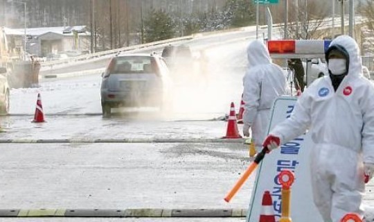 今年的疫情会不会爆发，今年会有疫情吗