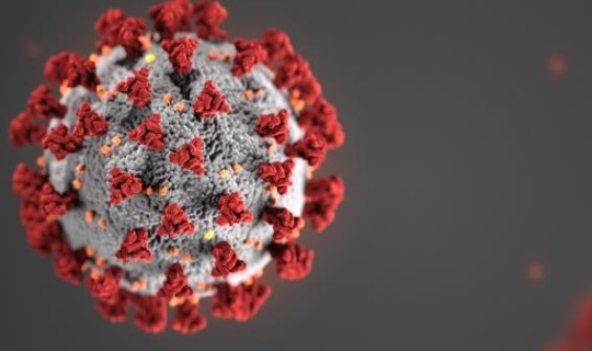 美国疫情实时动态更新 美国最新数据今晚