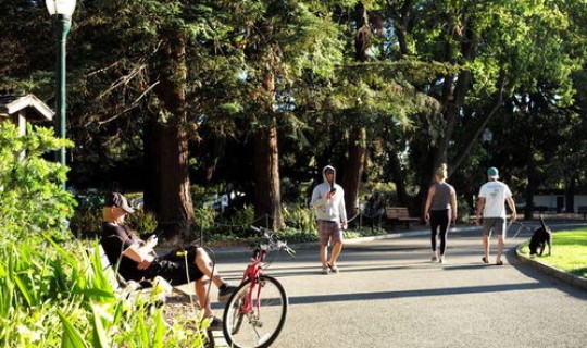 美国疫情动态最新数据消息新闻 美国最新经济数据消息