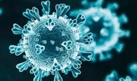 上海变异新冠病毒携带者?近期上海流行病毒 上海变异新冠病毒携带者?近期上海流行病毒