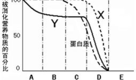 新冠德尔塔病毒传染途径(病毒感染是怎么引起的)