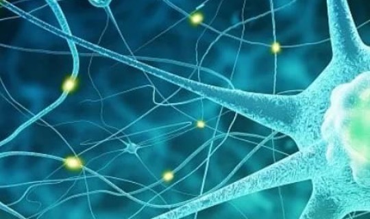 病情还会二次爆发吗 (可引起疾病爆发的是)