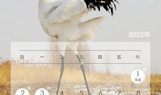 2021年春节是几月几日，2022年端午是几月几日