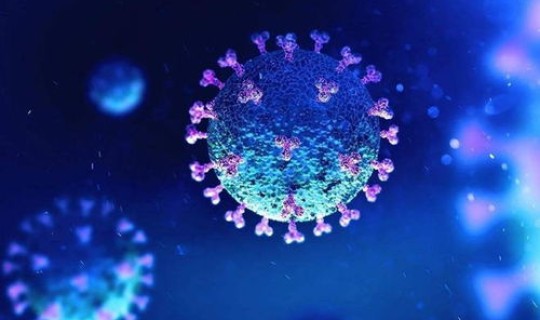 新冠肺炎2024年传染性强吗 2024年的新冠病毒传染强吗