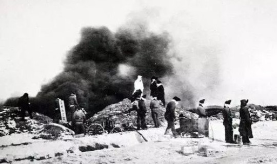 近年鼠疫事件 怎样确定得了鼠疫