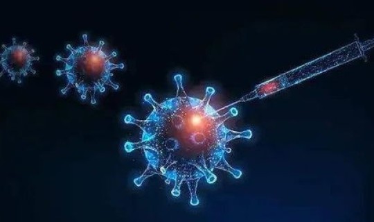 德尔塔变异毒株   变异毒株