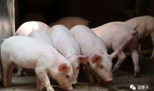 连云港疫情咋样 连云港发现疫情