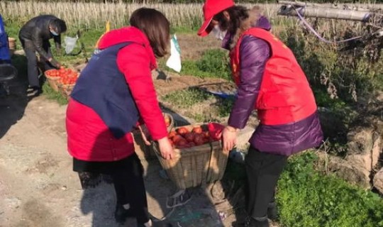 莆田疫情都在哪里，疫情是什么意思