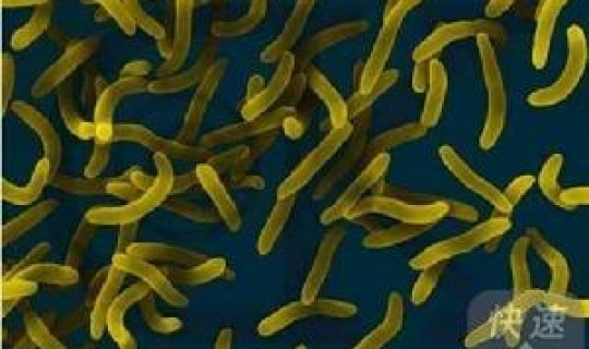 霍乱现在能治疗吗 霍乱现在叫什么病